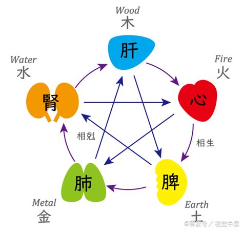 宮商角徵羽心肝脾肺腎